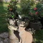 Archangels Frühstückspension *