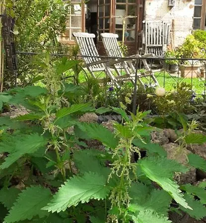 Archangels Bed & Breakfast Saint-Saëns