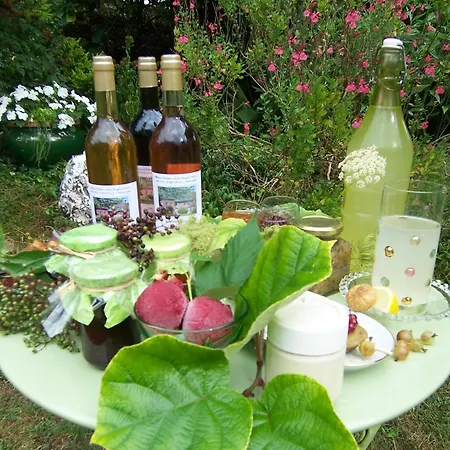 Archangels Saint-Saëns