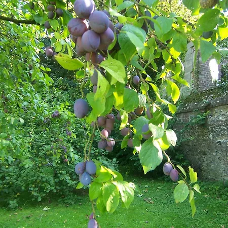 Archangels Saint-Saëns